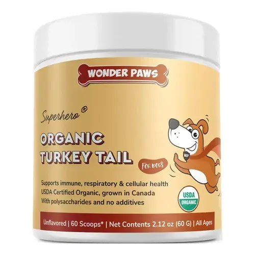 Hongo cola de pavo WONDER PAWS